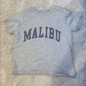 Gray Malibu top from Brandy Melville